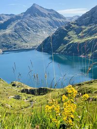 Scenic view of lake and mountains against sky