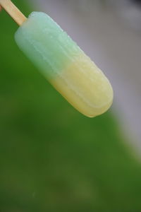 Close-up of lemon slice