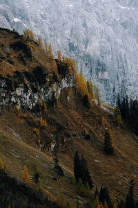 Scenic view of mountains. ahonrboden in autumn, tirol, austria