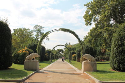 Trees in park against sky