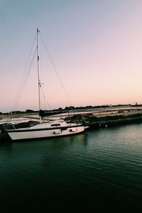 Sailboats moored in marina at sunset