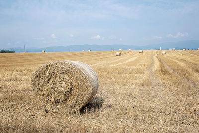 Hay bales on field against sky