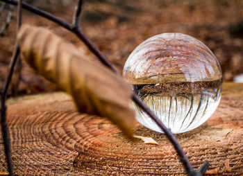 Lensball photography 