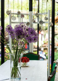Purple allium flowers in vase on table