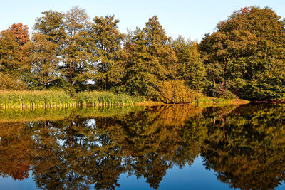 Reflection of trees in lake against sky during autumn