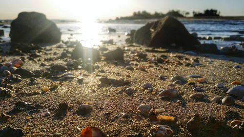 Surface level of stones on beach