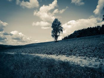 Scenic view of field against sky