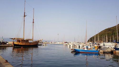 Sailboats moored in harbor