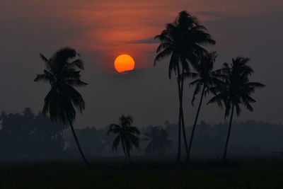 Silhouette palm trees against romantic sky at sunset