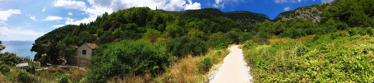 Panoramic view of trees on field against sky