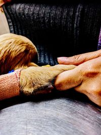 Midsection of woman with dog relaxing at home