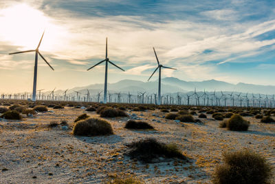 Windmills on field against sky