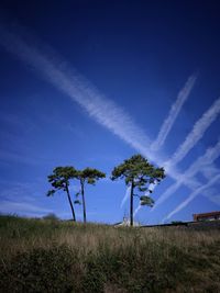 Beautiful blue sky on the camino de santiago portuguese