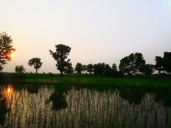 Scenic view of calm lake against clear sky