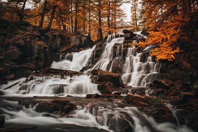 Scenic view of waterfall in forest, névache, france