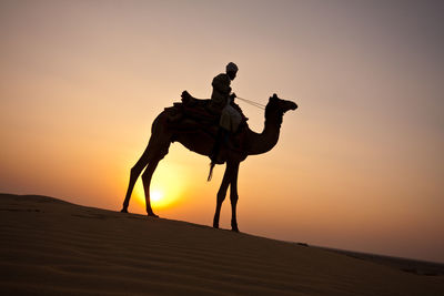 Silhouette man riding on desert against sky during sunset