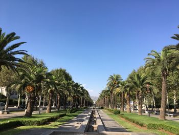 Empty road along palm trees against clear sky