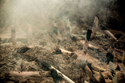 Hands of log on field