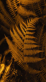 Autumn ferns leaves background. dark yellow foliage floral pattern. vertical  stories format