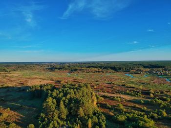 High angle view of trees on field against blue sky