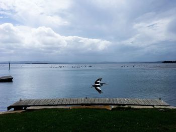 Birds on sea against sky