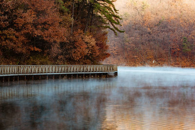 Scenic view of lake in forest