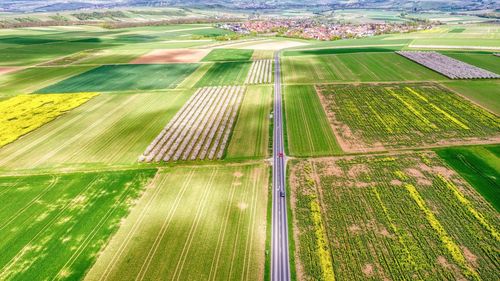 High angle view of agricultural field