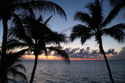 Silhouette palm trees on beach against sky at sunset