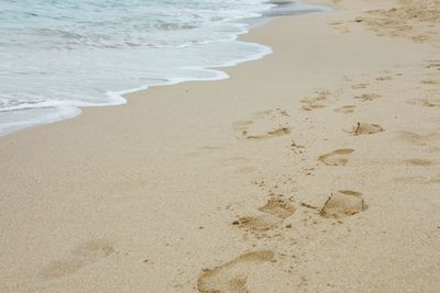 Footprints on sandy shore