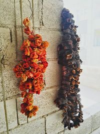 Close-up of chili peppers against wall
