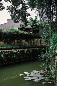 Scenic view of lake by trees and building