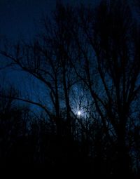 Low angle view of bare trees against sky