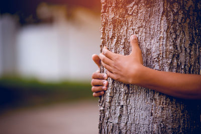 Close-up of hands embracing tree trunk in park