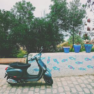 View of trees in the park