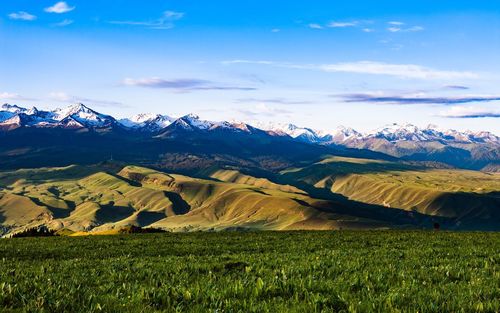 Scenic view of landscape against sky