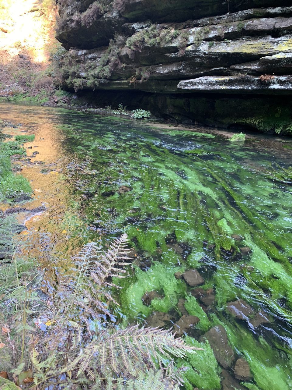 HIGH ANGLE VIEW OF WATER FLOWING THROUGH ROCKS IN RIVER