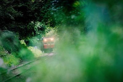 Illuminated trees by railroad tracks