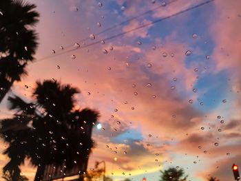 Low angle view of silhouette trees against sky during sunset