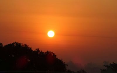 Silhouette of trees at sunset