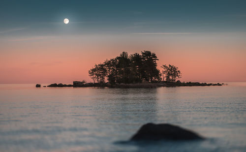 Silhouette tree by sea against sky during sunset