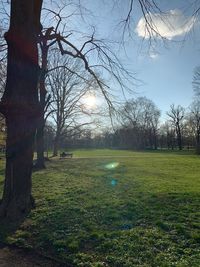 Trees on field against sky