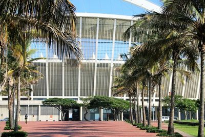 Palm trees and buildings against blue sky