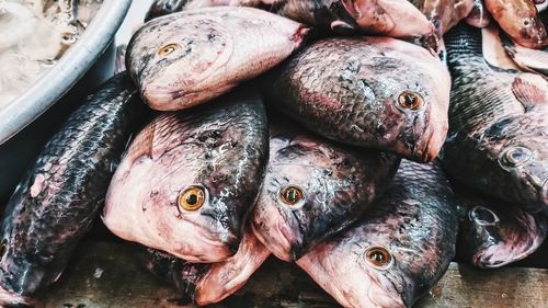 Full frame shot of fish for sale in market