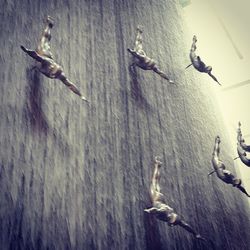 Low angle view of pigeons on railing