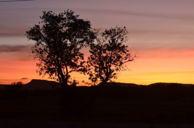 Silhouette tree on field against romantic sky at sunset