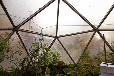 greenhouse