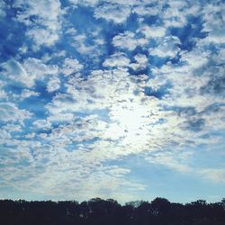 Low angle view of trees against cloudy sky