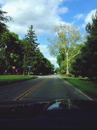 Road passing through forest