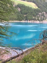 Scenic view of lake by trees