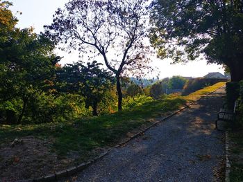 Road by trees in city against sky